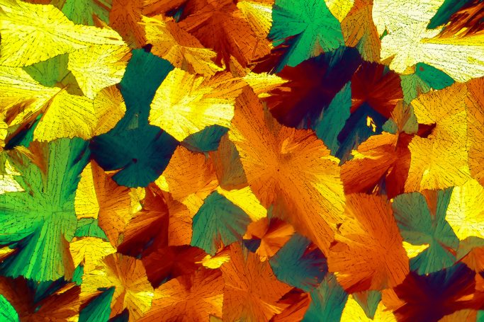 Blick in den Mikrokosmos. Mikrofoto von Methylsulfonylmethan (MSM), Mikrokristalle im polarisierten Licht, Florale Muster, 1, Bildbreite = 4
