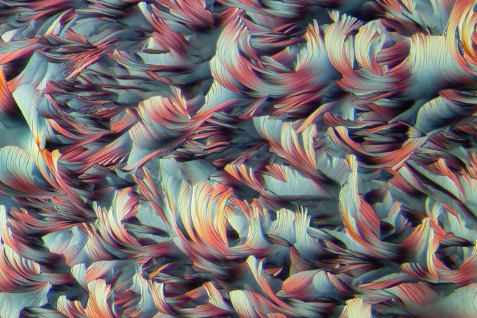 Mikrofoto von Beta Alanin und L-Glutamin, Mikrokristalle im polarisierten Licht, 1, Bildbreite = 1,75 mm