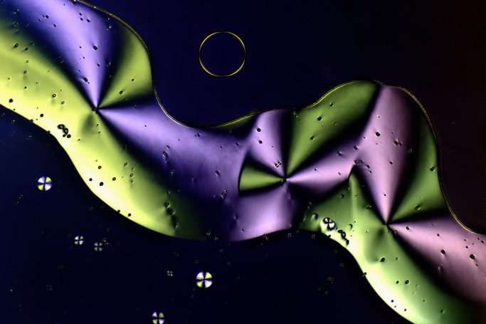 Mikrofotografie von Sorbit E420), Mikrokristalle im polarisierten Licht, 1, Bildbreite = 0,85 mm