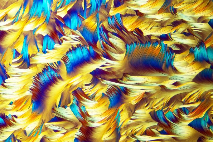 Mikrofoto von Beta Alanin und L-Glutamin, Mikrokristalle im polarisierten Licht, 3, Bildbreite = 1,75 mm