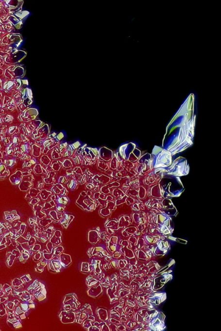 Eiskristalle, Bildbreite ca. 0,5 mm