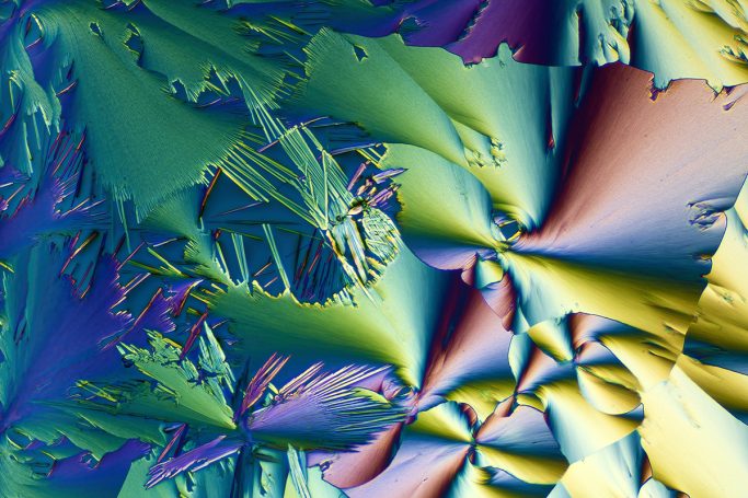 Mikrofotografie von GABA, Mikrokristalle im polarisierten Licht, 2, Bildbreite = 1,7 mm