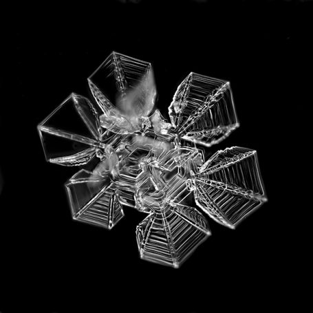 Schneekristall, Bildbreite 0,8 mm