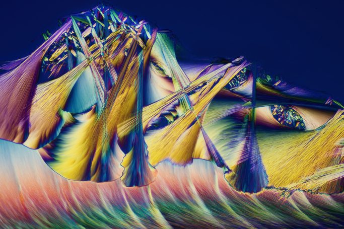 Mikrofotografie von GABA, Mikrokristalle im polarisierten Licht, 1, Bildbreite = 1,7 mm