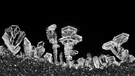 Eiskristalle, Bildbreite ca. 1,6 mm