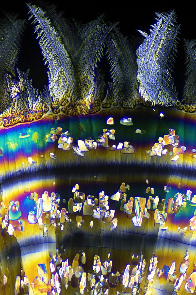 Mikrofoto von Acetylsalicylsäure (ASS), Mikrokristalle im polarisierten Licht, 2, Bildbreite = 0,5 mm
